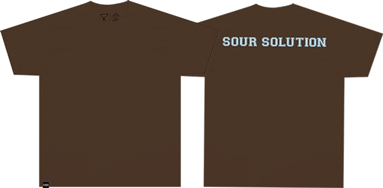 SOUL TRIP - Varsity Ss S-brown - Skateboard Tshirt