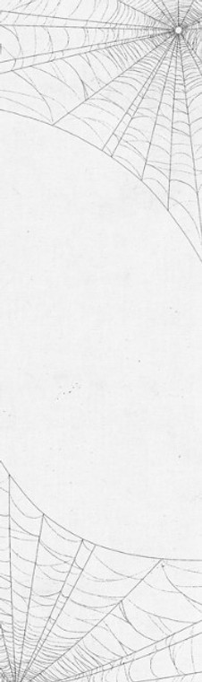 Pvblic Domain Ragdoll's Web White Perforated Grip Tape Sheet 9.00 X 33.00 - Skateboard Grip Tape Pvblic Domain Ragdoll's Web White Perforated Grip Tape Sheet 9.00 X 33.00 - Skateboard Grip Tape