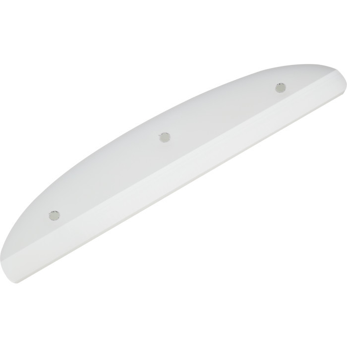 Powell Tail Bone 8" White