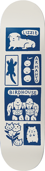 Birdhouse - Armanto Catalina Deck-8.25 - Skateboard Deck