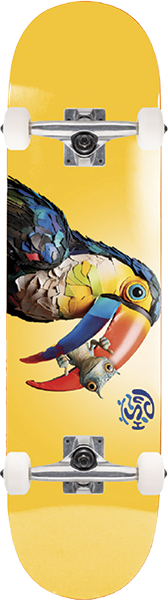 Push - Toucan Fp Soft Top Complete-7.25 Golden - Complete Skateboard