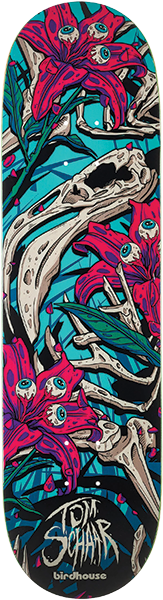 Birdhouse - Schaar Tillbrook Deck-8.38 - Skateboard Deck