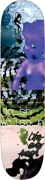 Quasi - Wilson Needmore Deck-8.0 - Skateboard Deck