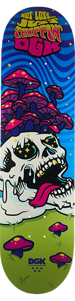 Dgk - Not Lost Deck-8.25 - Skateboard Deck