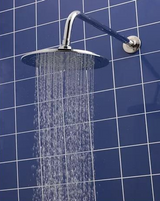 Whedon FPAN8B Flow Pro Pan Head Shower Showerhead, Brushed Nickel