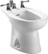 TOTO® Piedmont® Deck Mount Vertical Spray Flushing Rim Bidet, Cotton White - BT500B#01