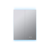 Lexora Corsica 24 inch W x 32 in H Surface-Mount LED Mirror Medicine Cabinet with Defogger - LLMCCO2432