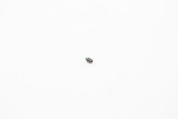 Symmons Knob Set Screw, 10-32 x 1/4 - NS-28 Symmons Knob Set Screw, 10-32 x 1/4 - NS-28