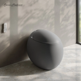 Swiss Madison Plaisir Smart One-Piece 1.28 GPF Single Flush Toilet - Matte Gray - SM-ST0701MG