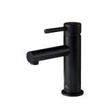 Blossom Single Handle Lavatory Faucet - Matte Black - F01 116 04