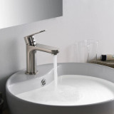 Blossom Single Handle Lavatory Faucet - Brush Nickel - F01 119 02