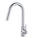 Blossom Single Handle Pull Down Kitchen Faucet - Chrome - F01 206 01