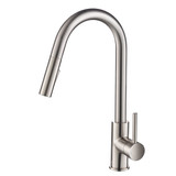 Blossom Single Handle Pull Down Kitchen Faucet - Brush Nickel - F01 206 02