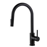 Blossom Single Handle Pull Down Kitchen Faucet - Matte Black - F01 206 04