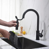 Blossom Single Handle Pull Down Kitchen Faucet - Matte Black - F01 206 04