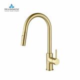 Blossom Single Handle Pull Down Kitchen Faucet - Brush Gold - F01 206 06