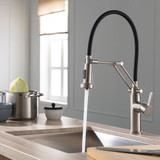 Blossom Single Handle Pull Out Kitchen Faucet - Brush Nickel - F01 208 02
