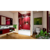 DreamLine SHDR-6560620-08 Enigma Sky 56-60 in. W x 62 in. H Frameless Sliding Tub Door in Polished Stainless Steel