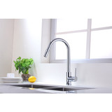 Vanity Art F80105 Pull Out Spray Kitchen Faucet - Chrome