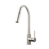Lexora Olivi Brass Kitchen Faucet w/ Pull Out Sprayer - Brushed Nickel