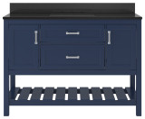 Foremost  LSBVT4922D-BGR Lawson 49" Aegean Blue Vanity Cabinet with Black Galaxy Granite Sink Top