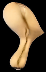 Cheviot 2166-WW-7-PB REGENCY Cast Iron Bathtub with Faucet Holes - 68" x 31" x 31.25" w/ Polished Brass Feet