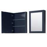 Wyndham WCV252548SBBC2UNSMED Daria 48 Inch Single Bathroom Vanity in Dark Blue, Carrara Cultured Marble Countertop, Undermount Square Sink, Matte Black Trim, Medicine Cabinet