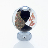 JVJ Polished Chrome 30 mm (1 3/16") Round Glass Door Knob - Gold and Silver on Black - 49826