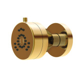 Gerber Parma 2 Function Wall Mount Body Spray 1.5gpm - Brushed Bronze - D460258BB