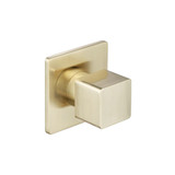Flusso 196.4511TSB Trim For Volume Control - Satin Brass Flusso 196.4511TSB Trim For Volume Control - Satin Brass