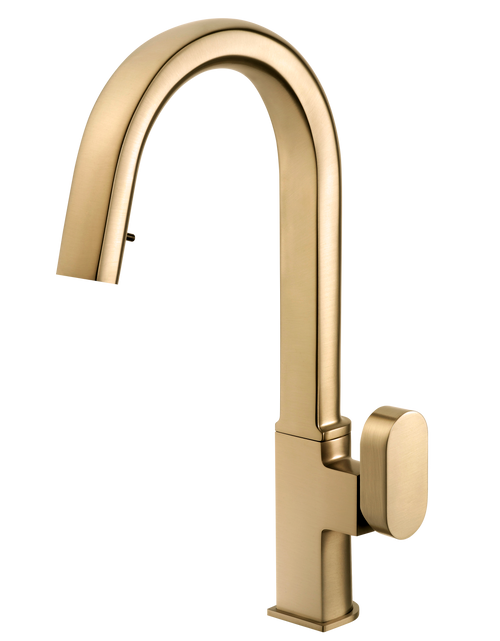 HamatUSA  REPD-1000 BB Dual Function Hidden Pull Down Kitchen Faucet in Brushed Brass