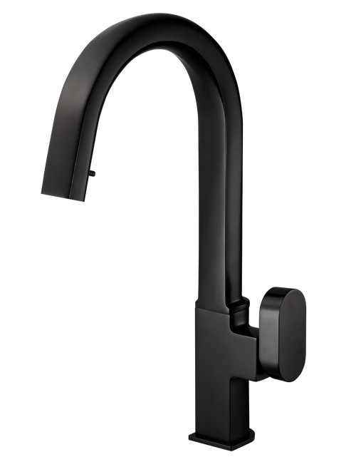 HamatUSA  REPD-1000 MB Dual Function Hidden Pull Down Kitchen Faucet in Matte Black