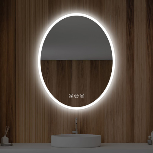 Blossom LED M6 2436 Oval 24'' Wide x 36" High LED Mirror With Frosted Sides