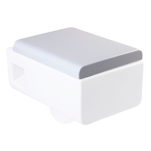 ALFI EAGO Replacement Soft Closing Toilet Seat for WD333