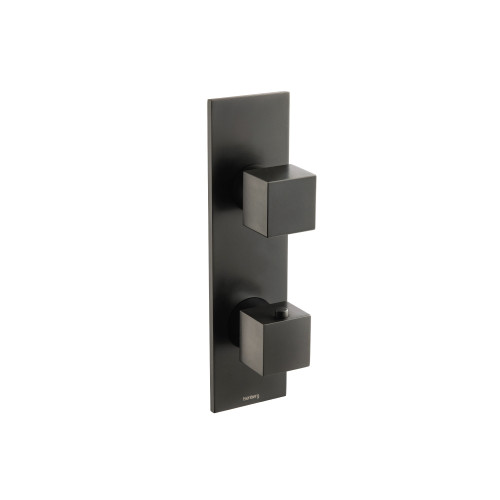 Flusso 160.2740MB 3/4" Thermostatic Shower Valve & Trim - 2-Output - Matte Black