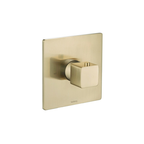 Flusso Trim For 3/4" Thermostatic Valve - Use with TVH.4201 - Satin Brass - 196.4201TSB