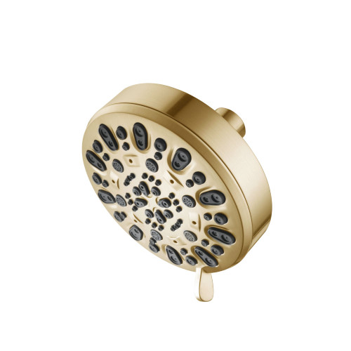 Isenberg  200.6140SB 6-Function ABS Showerhead - Satin Brass