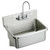 ELKAY  EWS3120W6C Stainless Steel 31" x 19.5" x 10-1/2", Wall Hung Single Bowl Hand Wash Sink Kit