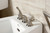 Kingston Brass KB328YL Royale Three-Handle Bidet Faucet, - Brushed Nickel