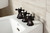 Kingston Brass KB325BX Metropolitan Three-Handle Bidet Faucet, - Oil Rubbed Bronze