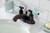 Kingston Brass FB8625CKL Kaiser 4 in. Centerset Bathroom Faucet with Pop-Up Drain, - Oil Rubbed Bronze