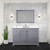 Lexora  LVD48DB300 Dukes 48 in. W x 22 in. D Dark Grey Double Bath Vanity and Cultured Marble Top