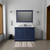 Lexora Dukes 48 in. W Navy Blue Double Sink Vanity Cabinet and Cultured Marble Top