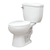 Fine Fixtures Oceana Basic Tank & Bowl with 12 Inch Rough Toilet - White - BTBN3W