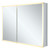 Fine Fixtures AME4230-R Aluminum Medicine Cabinet 2 Door With Framed Led - 42 Inch X 30 Inch