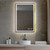 Blossom LED M4 2436 BG Stellar 24" Wide x 36" High LED Mirror With Brush Gold Frame