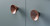Viefe 0538043W17 CONIC - D43mm Walnut Wood Knob