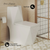 Swiss Madison SM-1T290 Brusque One-Piece Square Toilet Dual-Flush 1.1/1.6 gpf