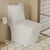 Swiss Madison SM-1T290 Brusque One-Piece Square Toilet Dual-Flush 1.1/1.6 gpf