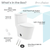 Swiss Madison SM-1T115 Beau One-Piece Elongated Toilet Dual-Flush 1.1/1.6 gpf